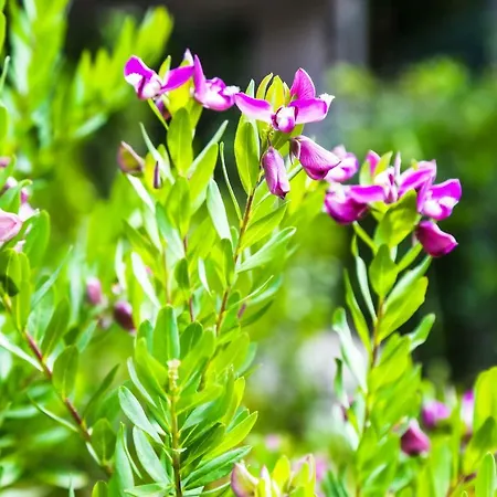 Warmup - Parcheggio Incluso Nella Corte Interna 4*