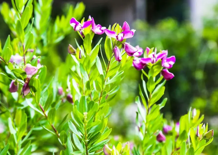 Warmup - Parcheggio Incluso Nella Corte Interna 4*